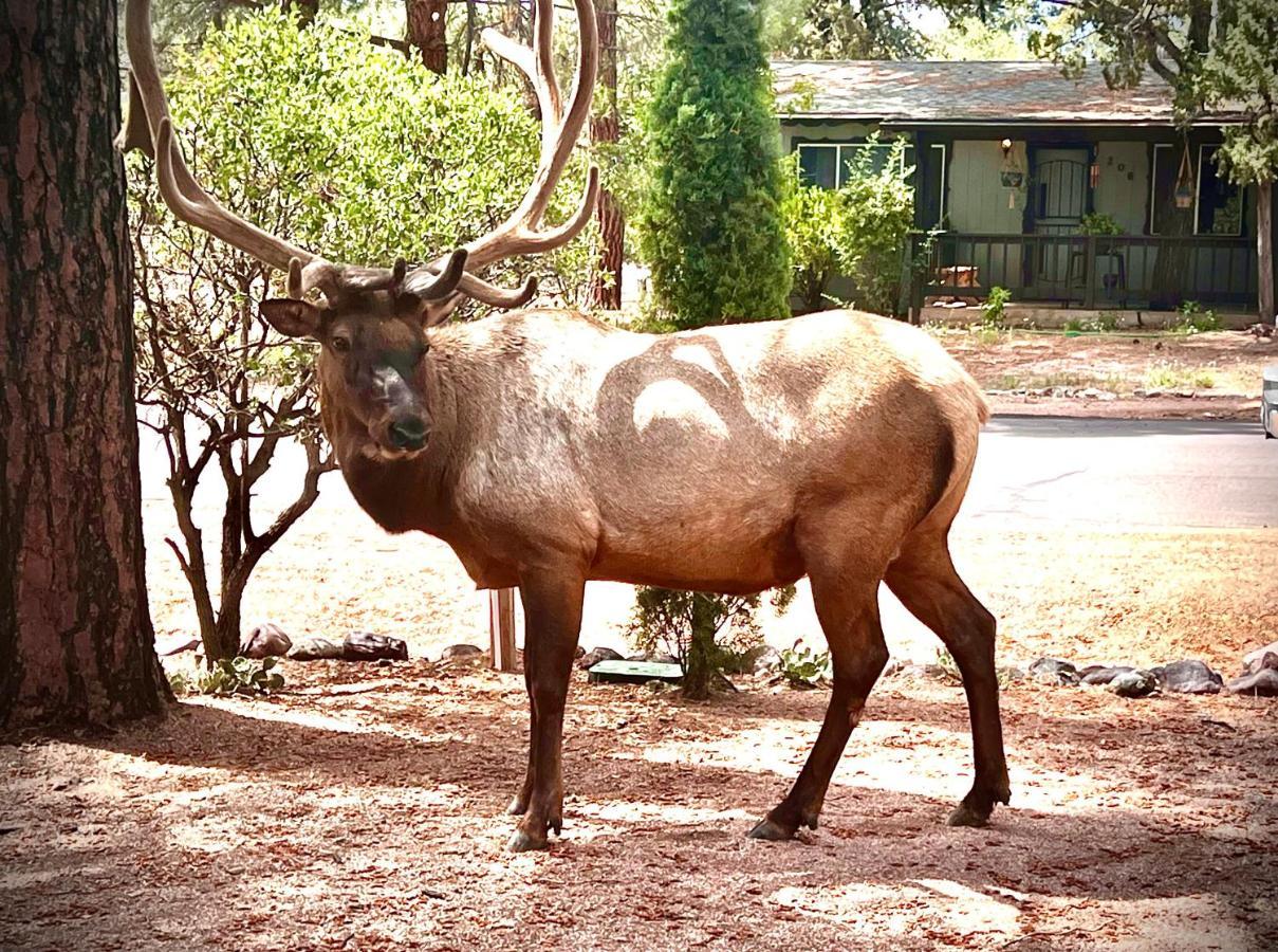 Villa Hidden Gem Retreat In The Heart Of Payson Esterno foto