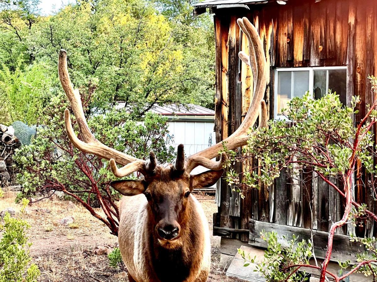 Villa Hidden Gem Retreat In The Heart Of Payson Esterno foto